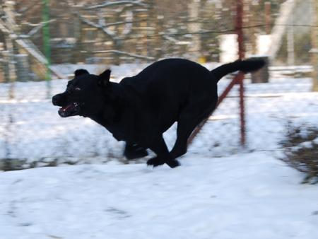 Прикачена снимка