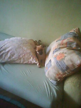 Прикачена снимка
