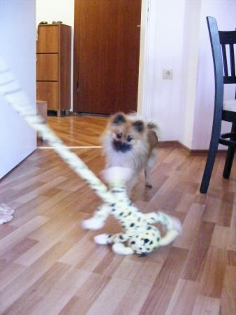Прикачена снимка