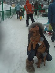 Прикачена снимка