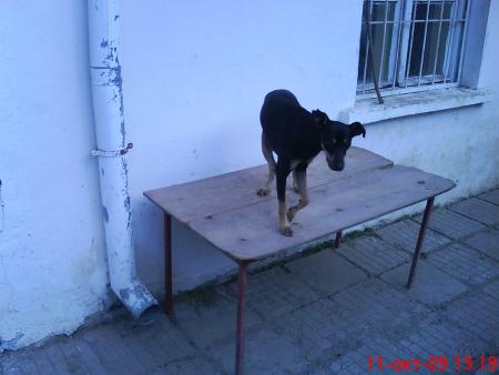 Прикачена снимка