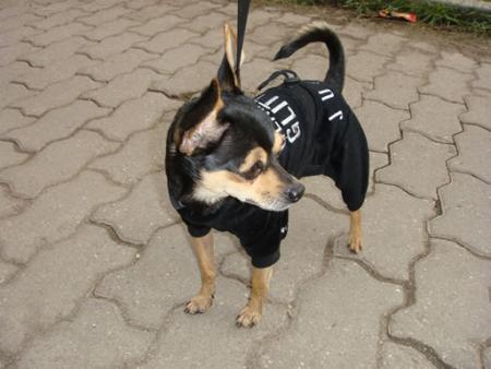 Прикачена снимка