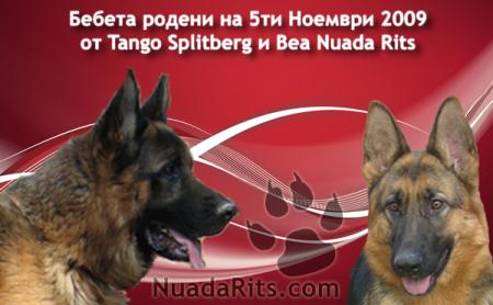 Прикачена снимка