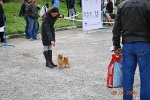 Прикачена снимка