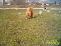 Прикачена снимка