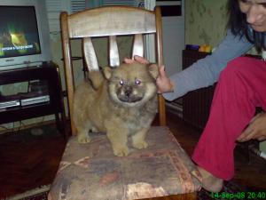Прикачена снимка