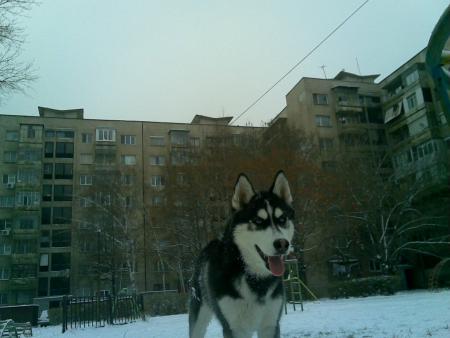 Прикачена снимка