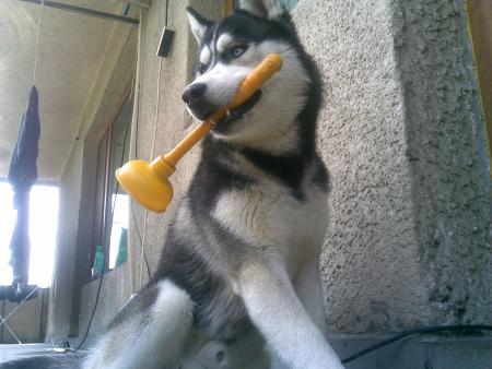 Прикачена снимка