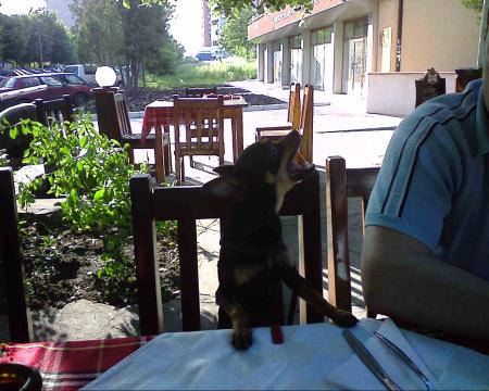 Прикачена снимка