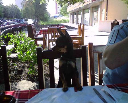 Прикачена снимка