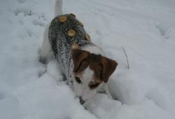 Прикачена снимка