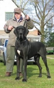 Прикачена снимка