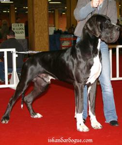 Прикачена снимка