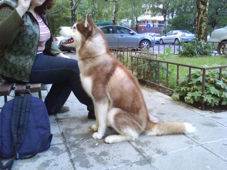 Прикачена снимка