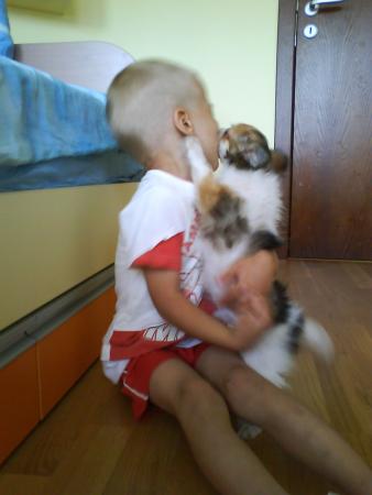 Прикачена снимка