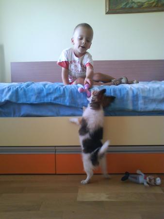 Прикачена снимка