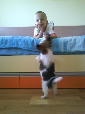 Прикачена снимка