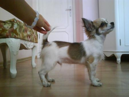 Прикачена снимка