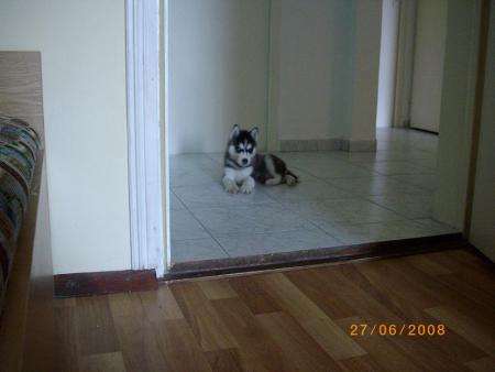Прикачена снимка