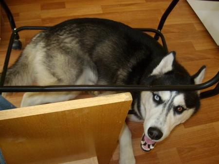 Прикачена снимка