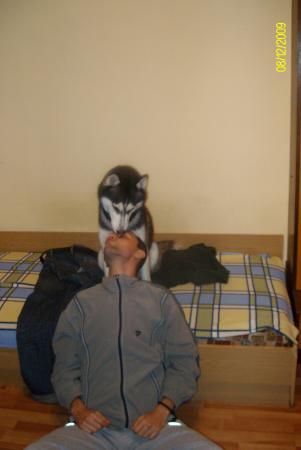 Прикачена снимка