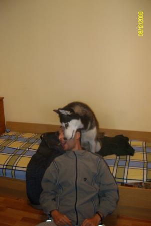 Прикачена снимка