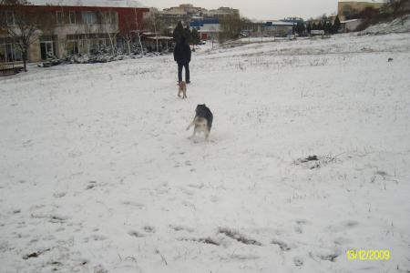 Прикачена снимка
