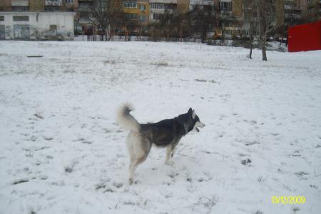 Прикачена снимка