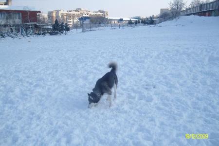Прикачена снимка