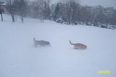 Прикачена снимка