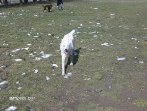 Прикачена снимка