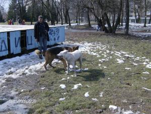 Прикачена снимка