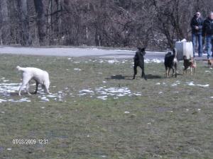 Прикачена снимка