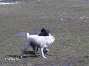 Прикачена снимка
