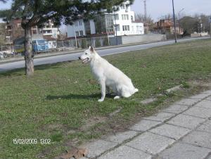 Прикачена снимка