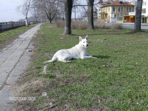 Прикачена снимка