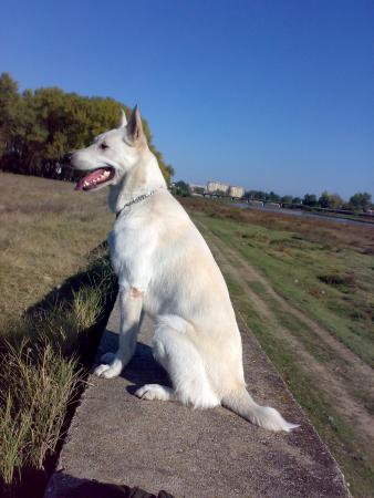Прикачена снимка