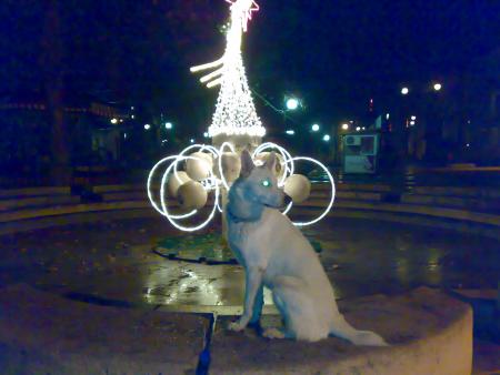 Прикачена снимка