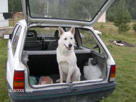 Прикачена снимка
