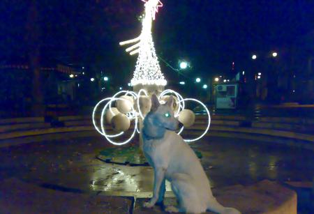 Прикачена снимка