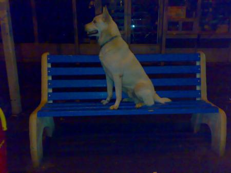 Прикачена снимка