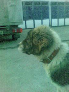 Прикачена снимка