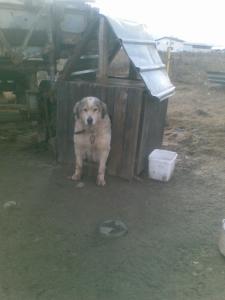 Прикачена снимка