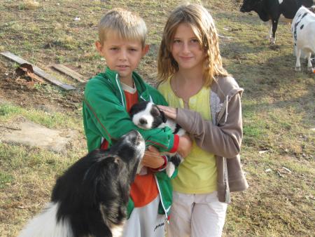 Прикачена снимка