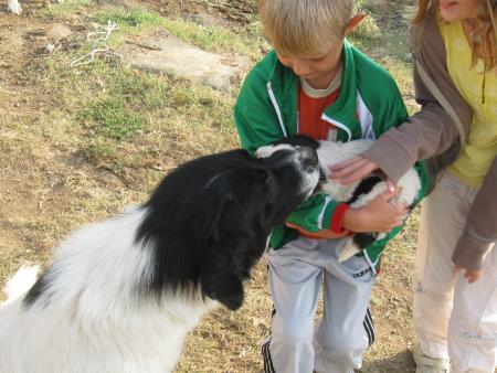 Прикачена снимка