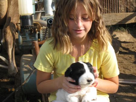 Прикачена снимка