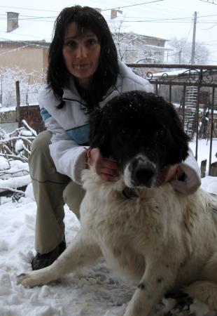 Прикачена снимка