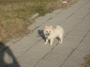 Прикачена снимка