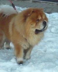 Прикачена снимка