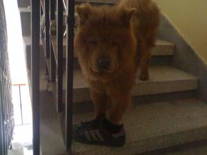 Прикачена снимка